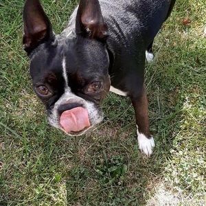 Meet your Posher, Jerry